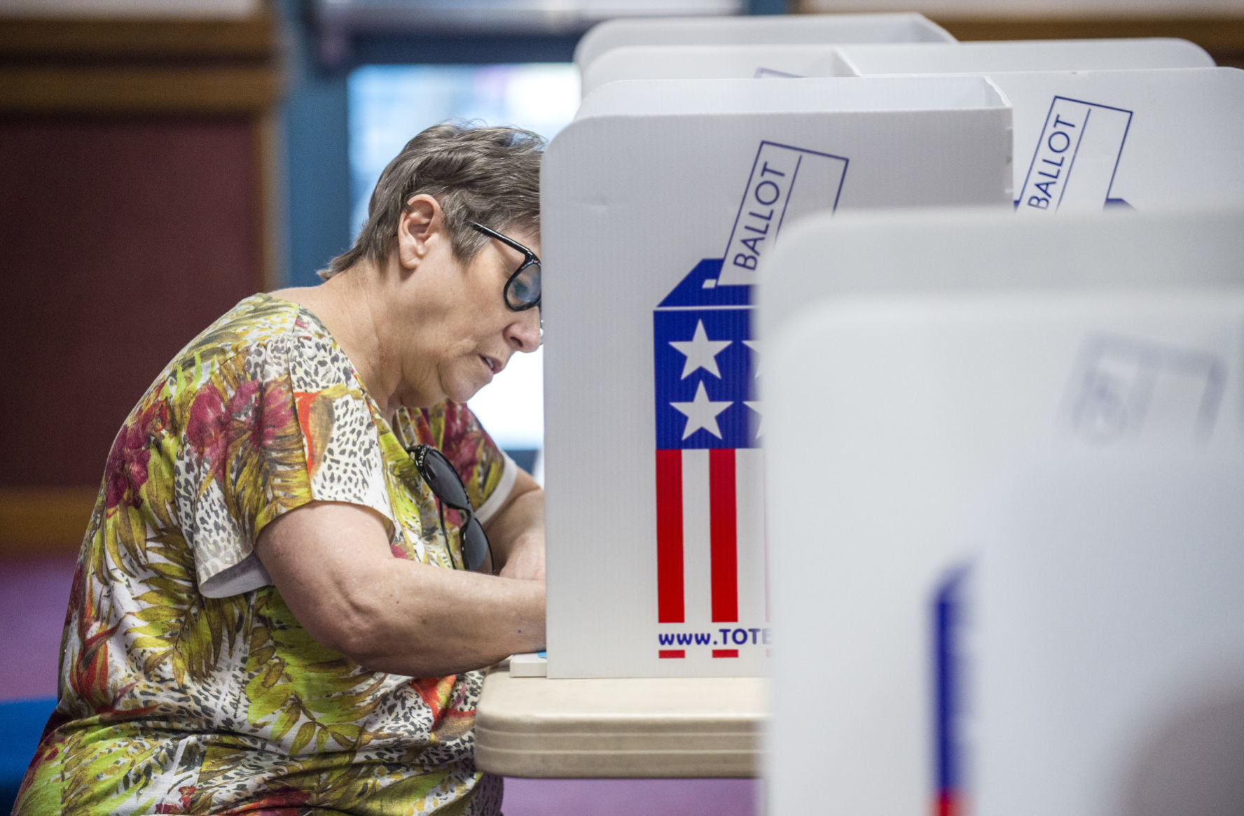 Casting your ballot